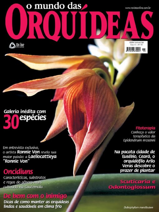 Cover image for O Mundo das Orquídeas